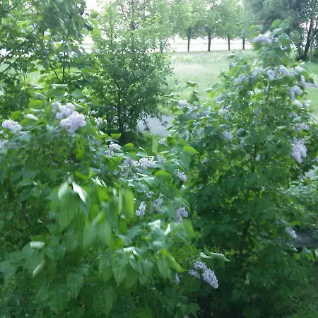 A Comfortable 18M Room With Balcony * Tallinn