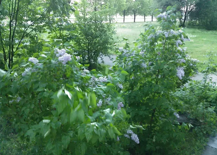 A Comfortable With Balcony * Tallinn